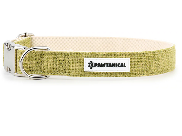 Pawtanical - Hemp Collar - Grass Green