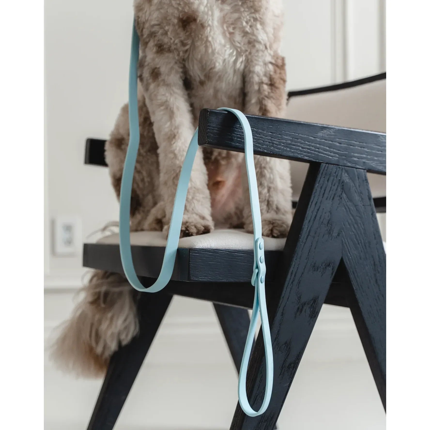 Dexypaws Waterproof Dog Leash