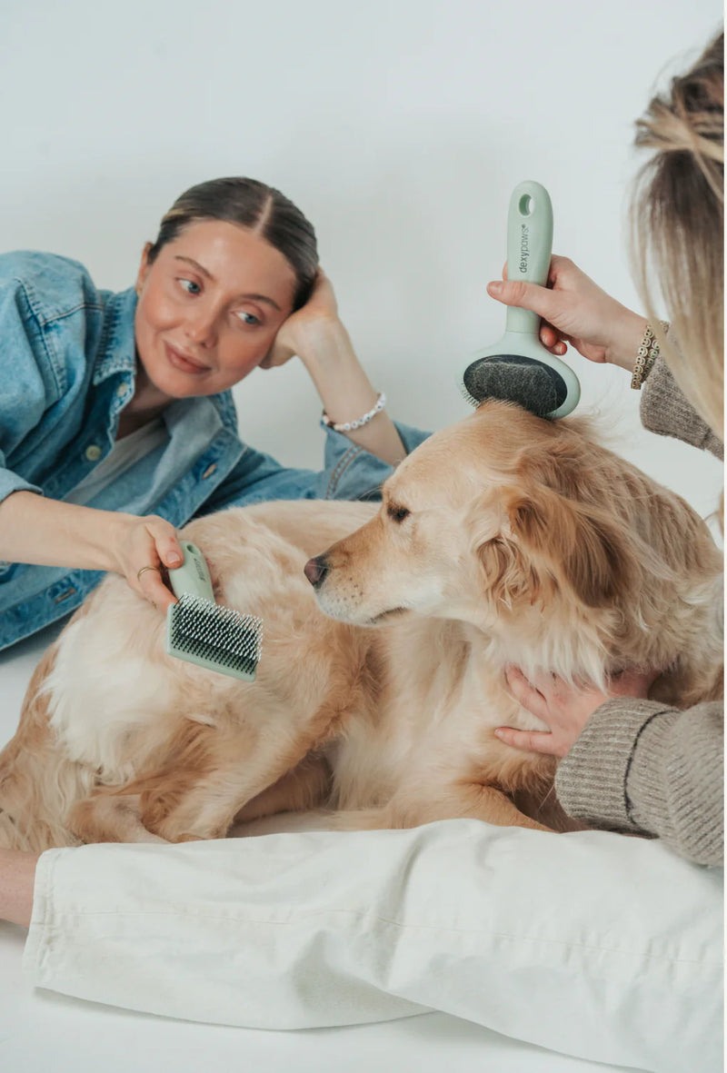Dexypaws Perfect Fur Soft Slicker Brush For Pets