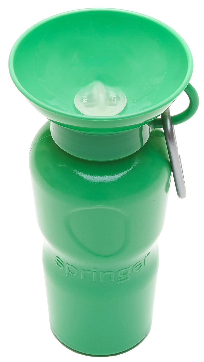 Springer Green Travel Bottle