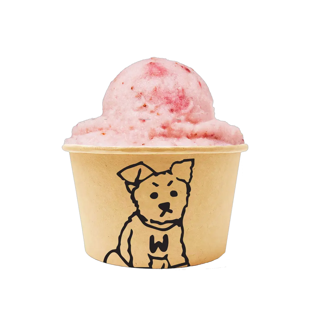 Ice Cream & Sorbet Pup Cups by PawsNatural Pet Store