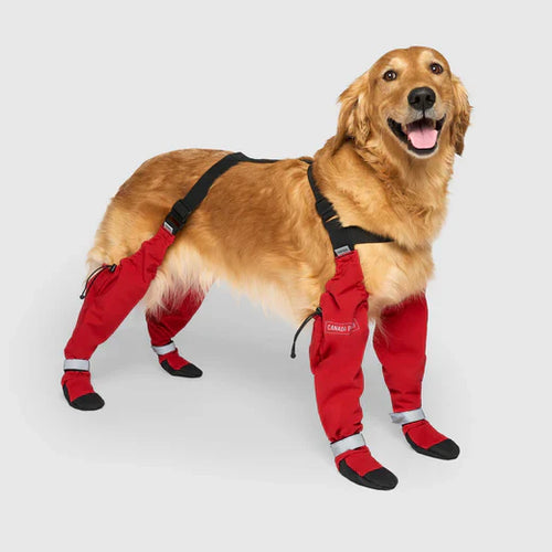 Canada Pooch Suspender Boots pet products online canada Pawsnatural