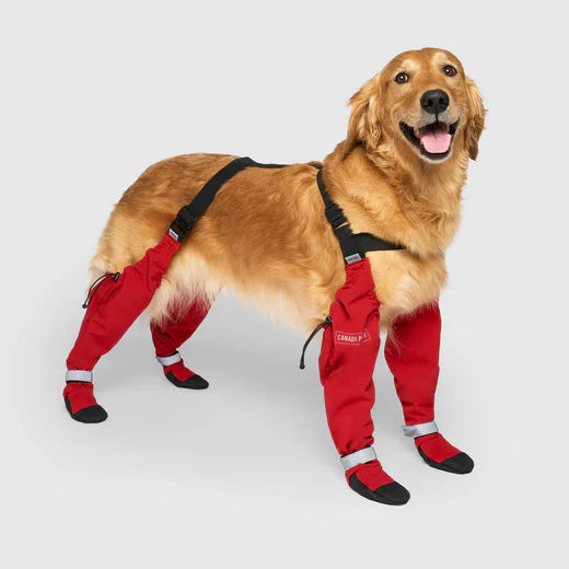 Canada Pooch - Suspender Boots