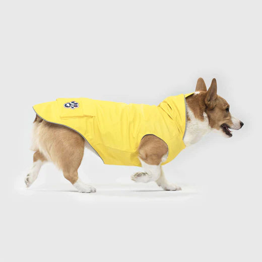 Canada Pooch - Torrential Tracker (Yellow)