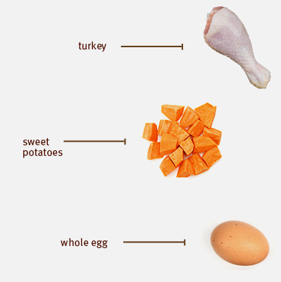 Sojos - Turkey Complete Dog Food Recipe