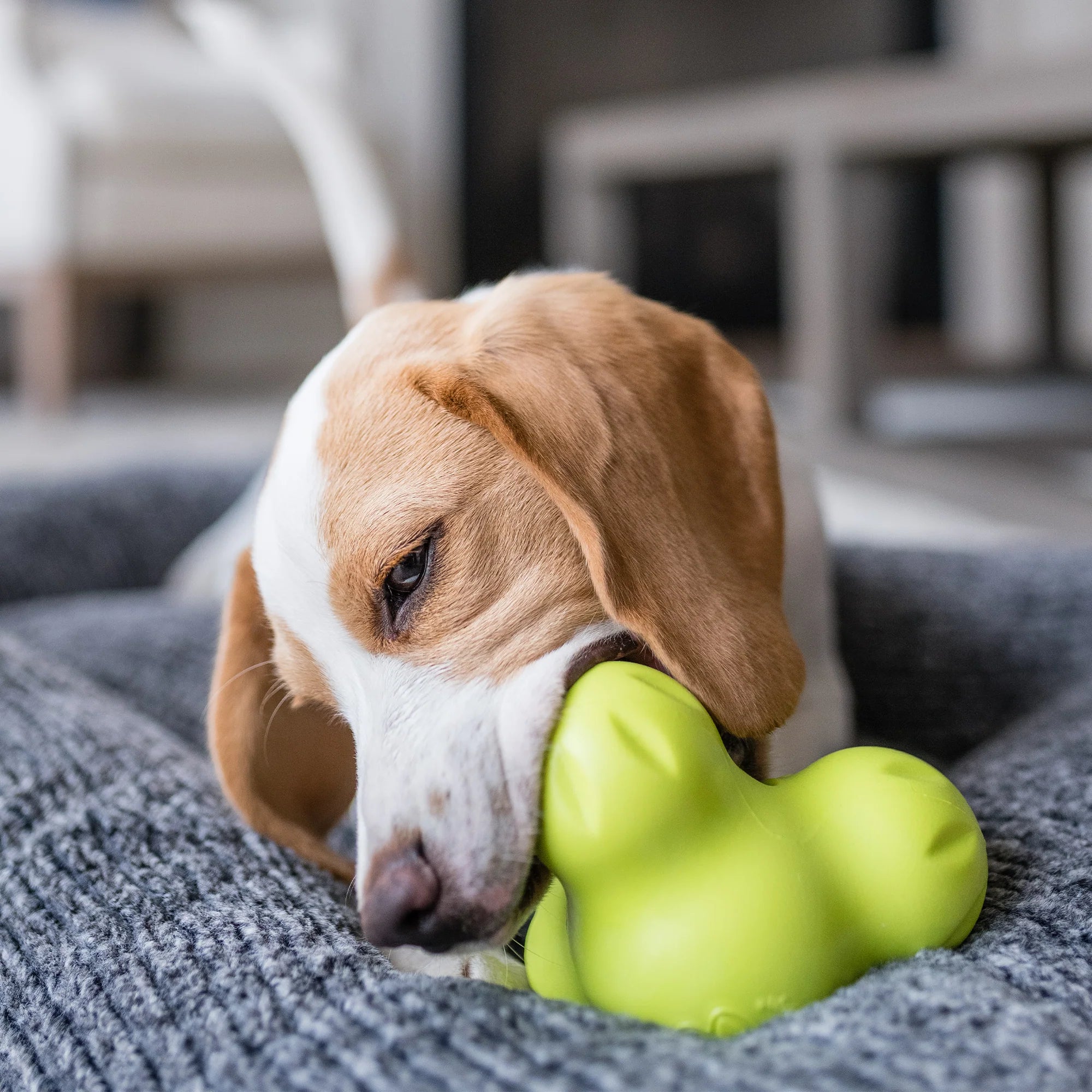 West Paw Treat Toys ZoGoFlex Tux