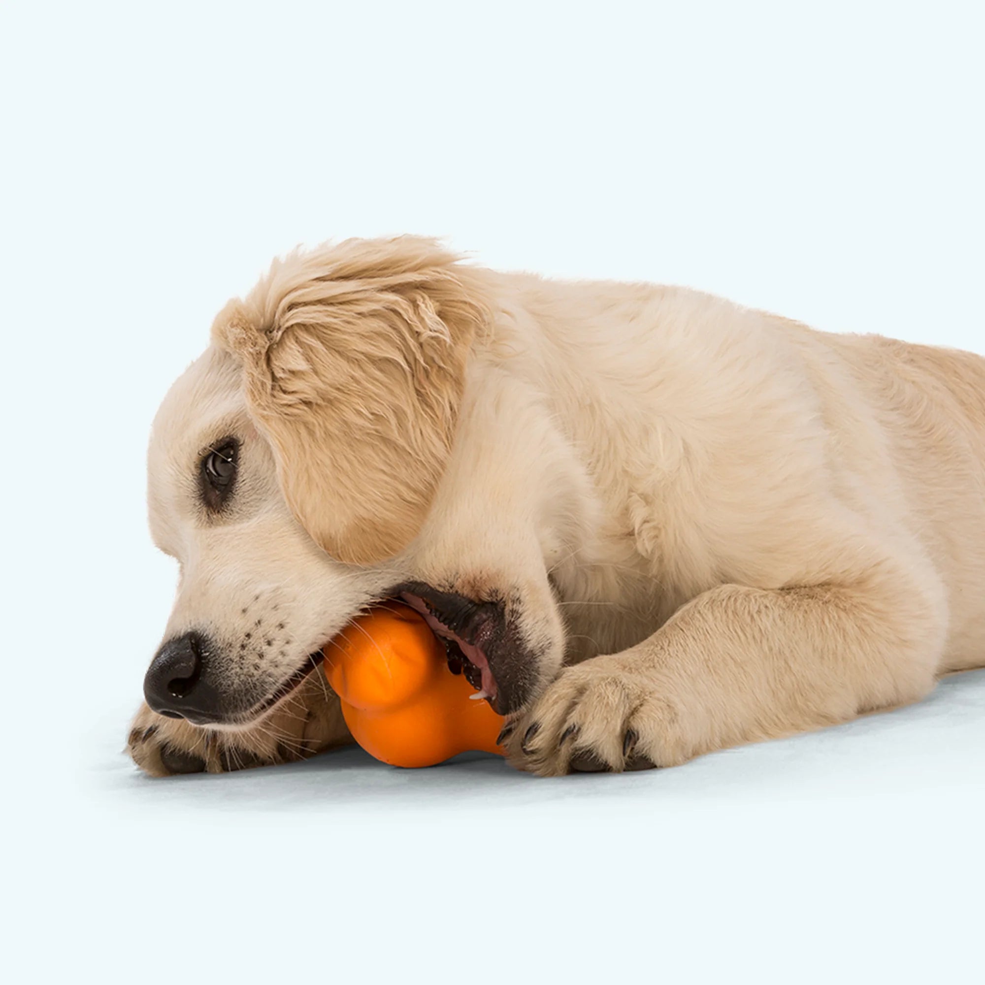 West Paw Treat Toys ZoGoFlex Tux