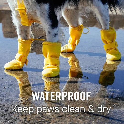 Canada Pooch - Waterproof Rain Boots (Yellow)