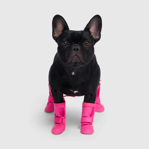 Canada Pooch - Waterproof Rain Boots (Pink)