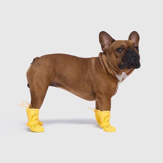 Canada Pooch - Waterproof Rain Boots (Yellow)