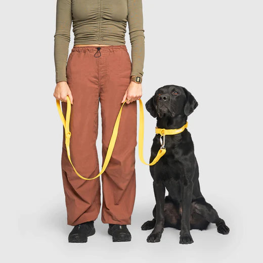 Canada Pooch - Waterproof Dog Leash