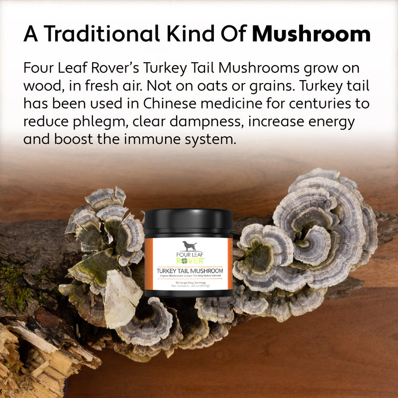 Four Leaf Rover - Turkey Tail