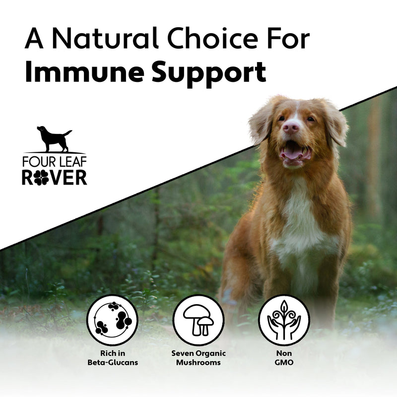 Four Leaf Rover - Immunity