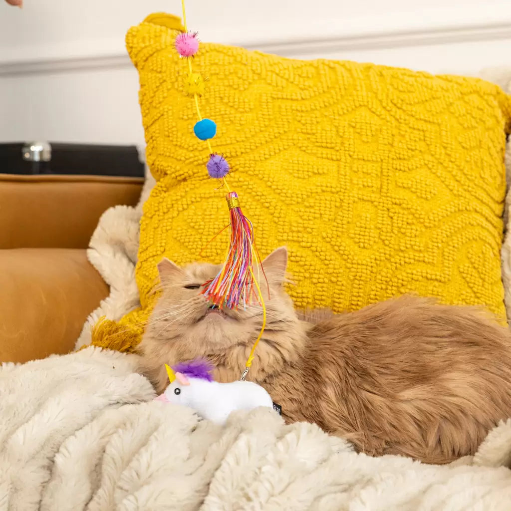 ZippyClaws ZippyStick Cat Toy Cat Teaser