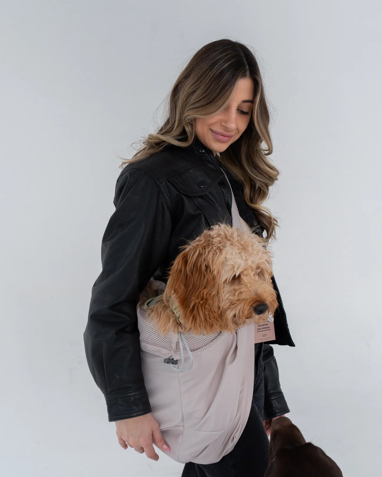 Dexypaws Beige Pet Travel Bag
