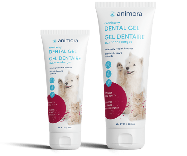 Animora - Cranberry Dental Gel