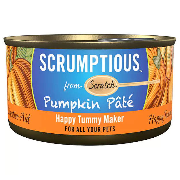 SCRUMPTIOUS - Pumpkin Pate 79g