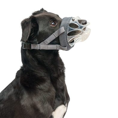 Company of Animals® Baskerville INVISA Muzzle