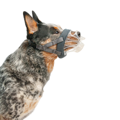Company of Animals® Baskerville INVISA Muzzle