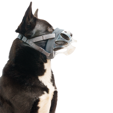 Company of Animals® Baskerville INVISA Muzzle