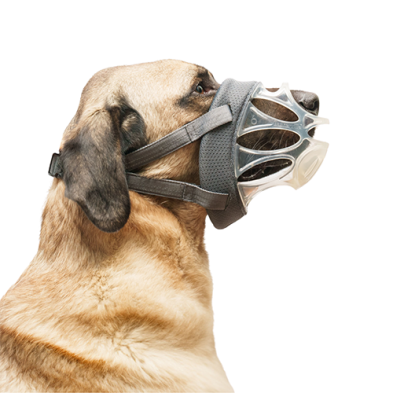 Company of Animals® Baskerville INVISA Muzzle