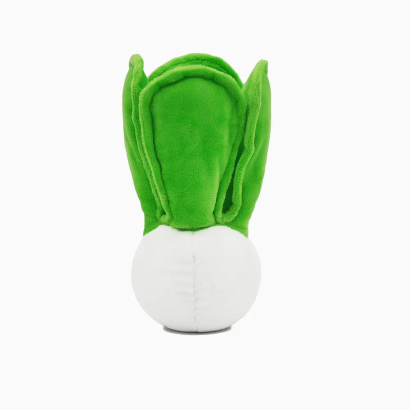 Feisty Veggie