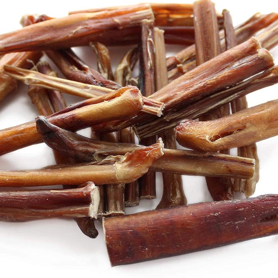 Super Can 6'' Standard Bully Stick Odour Free pet products online