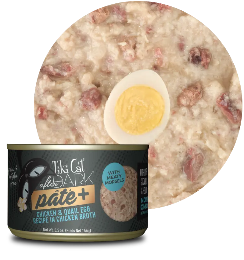 Tiki Cat - After Dark - Pâté+ Chicken & Quail Egg Recipe in Chicken Broth Wet Cat Food