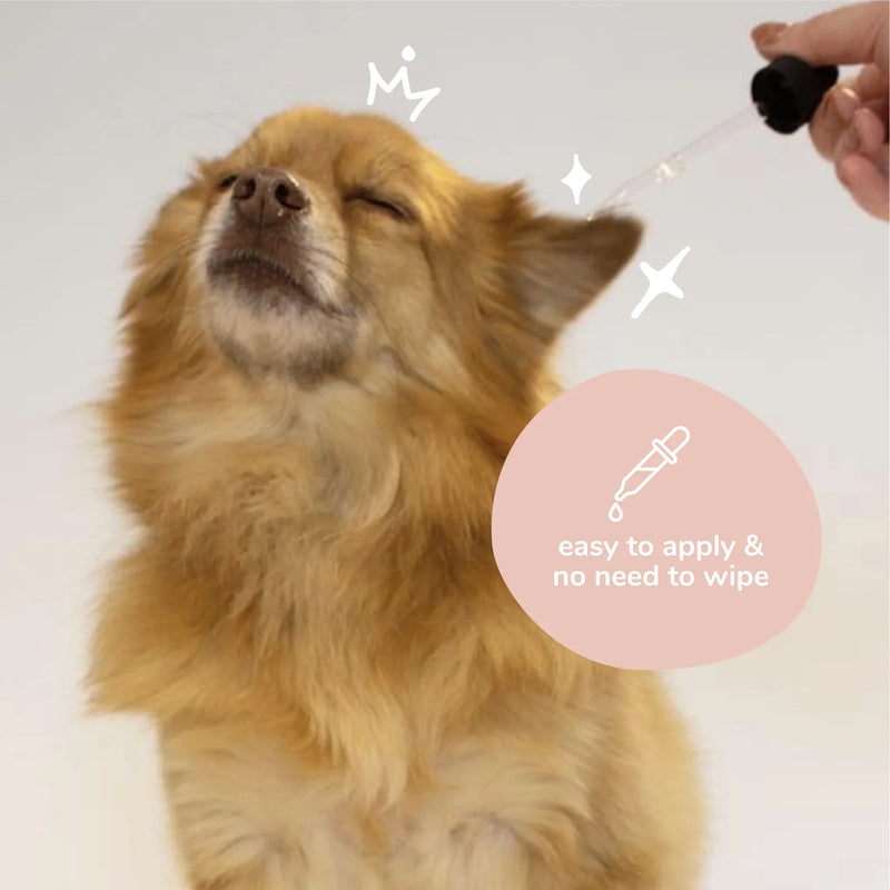 Dog Ear Cleanser - 4oz