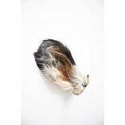 Grand Valley Quail Pet Treats Dehydrated Beef Ear