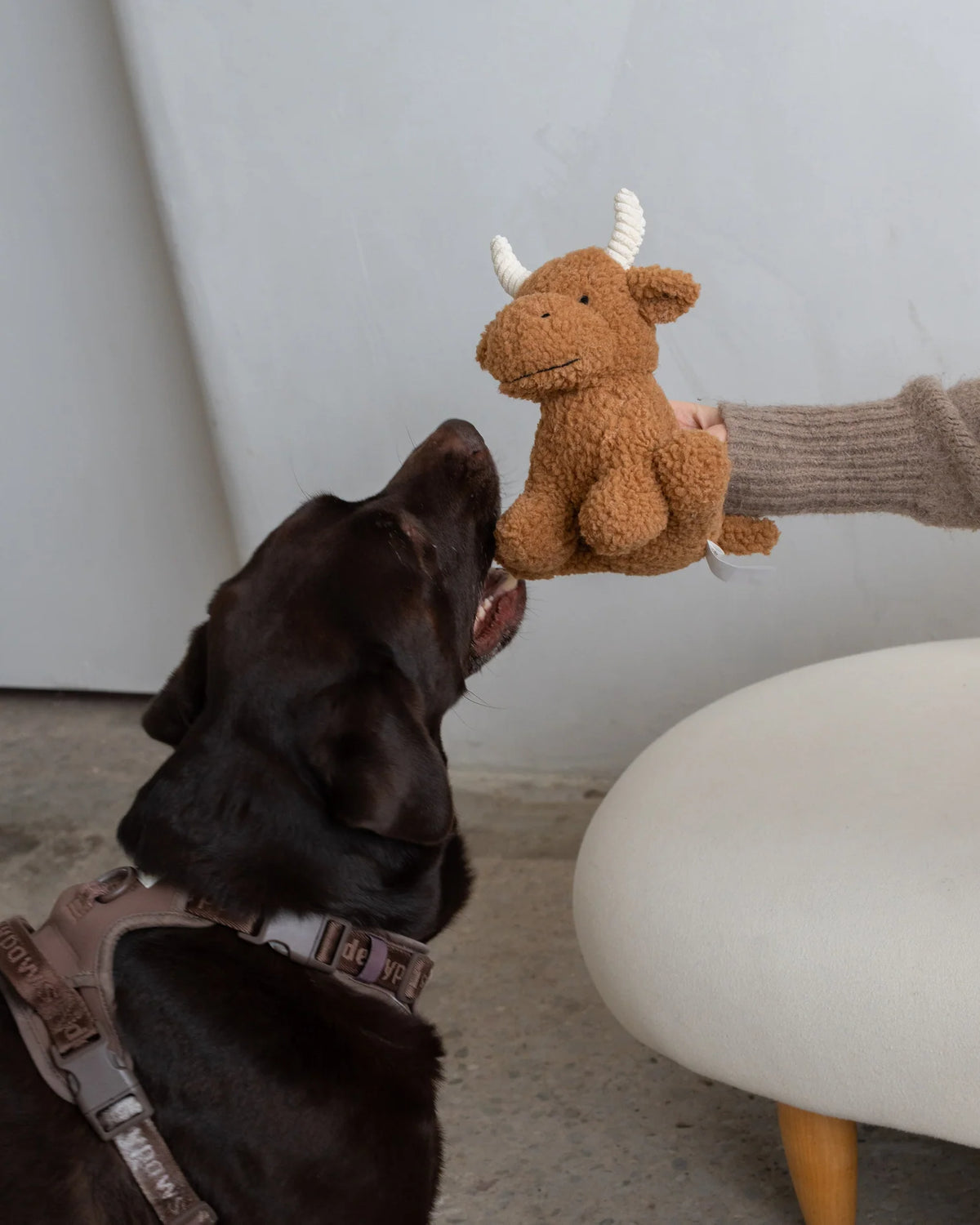 Dexypaws Plush Dog Toy  - Cow 8"