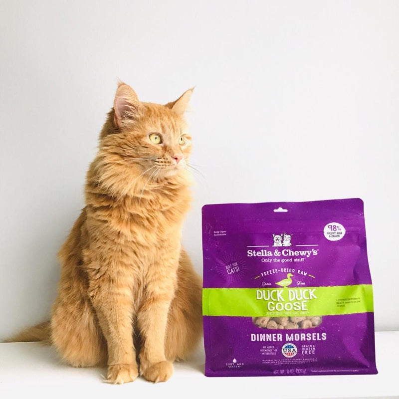 S&C - Duck, Duck Goose Freeze-Dried Raw Dinner Morsels Cat Food