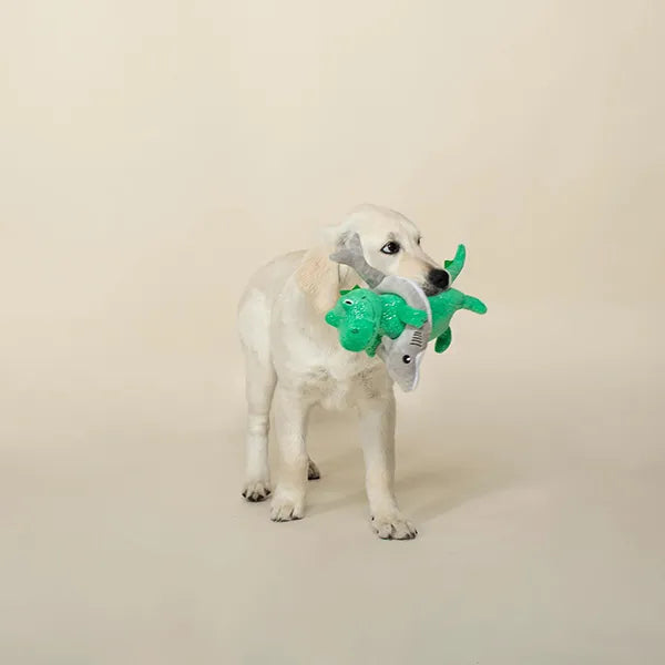 Fringe Studio - SHARK WEEK REX PLUSH DOG TOY