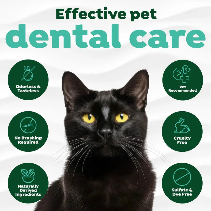 TropiClean Fresh Breath Dental Health Solution Oral Care Water Additive for Cats 16oz by TropiClean