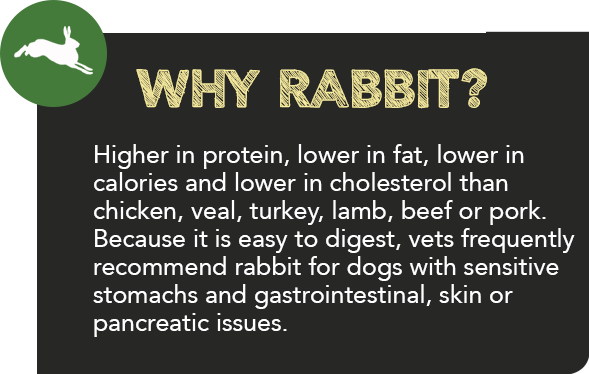 Hare of the Dog - 100% Rabbit Freeze Dried Treats - 2.25 oz