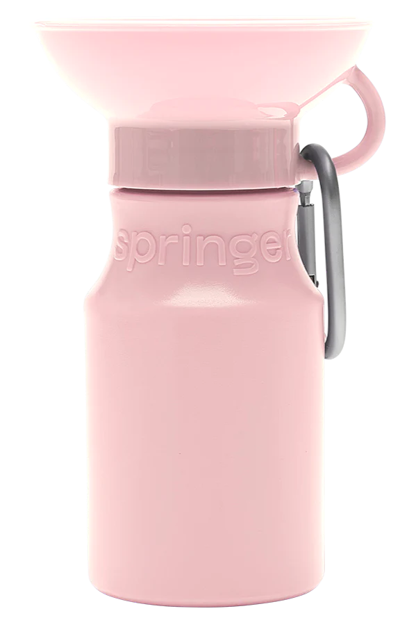 Springer - 15oz Mini water bottle