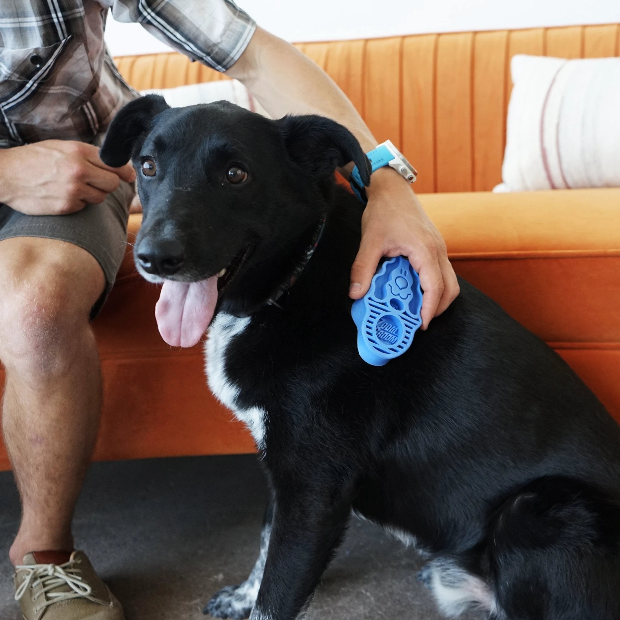 KONG ZOOMGROOM Raspberry/Boysenberry Large by KONG