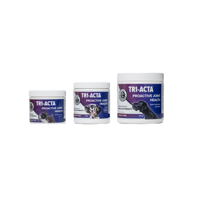 Tri-Acta Regular Strength