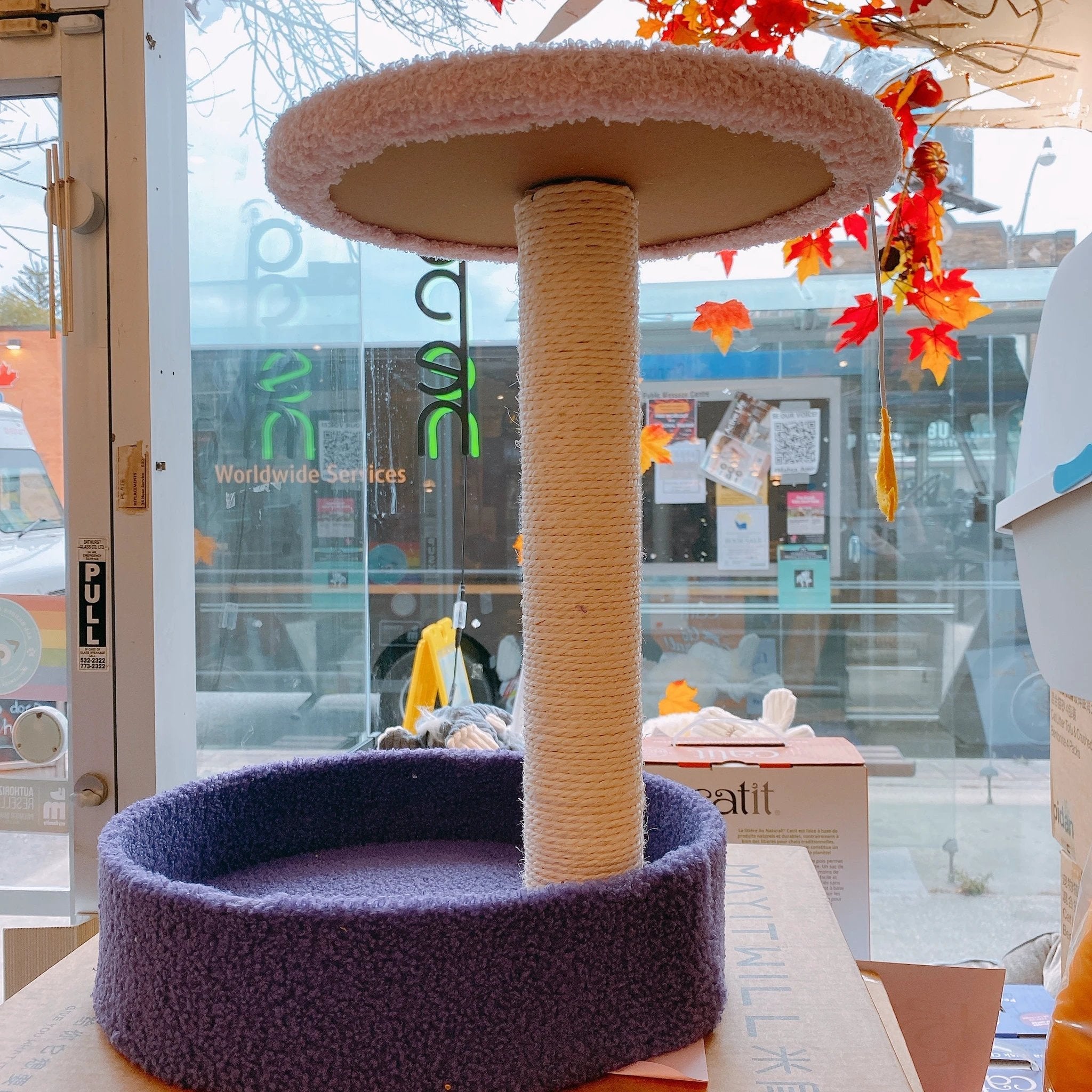 Mini Cat Trees by PawsNatural Pet Store