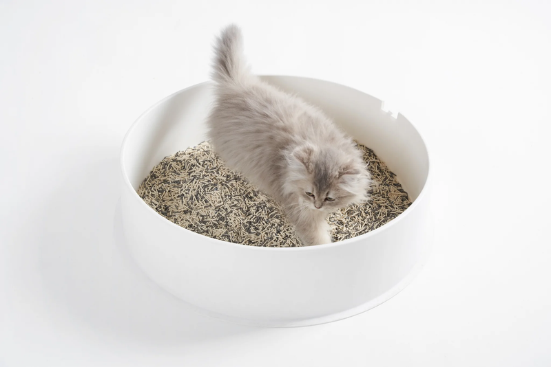pidan - 3-in-1 Mixed Cat Litter, Pail | 5.2 kg |