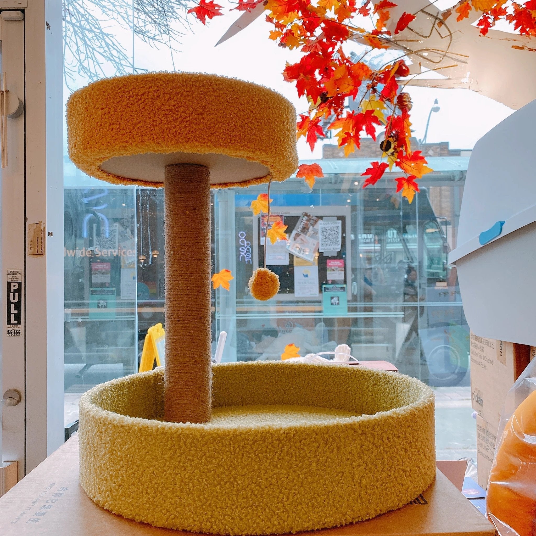 Mini Cat Trees by PawsNatural Pet Store