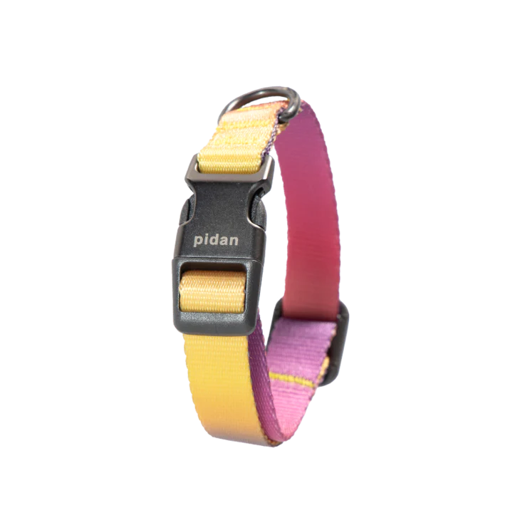 pidan - Dog Collar with Metal Buckle