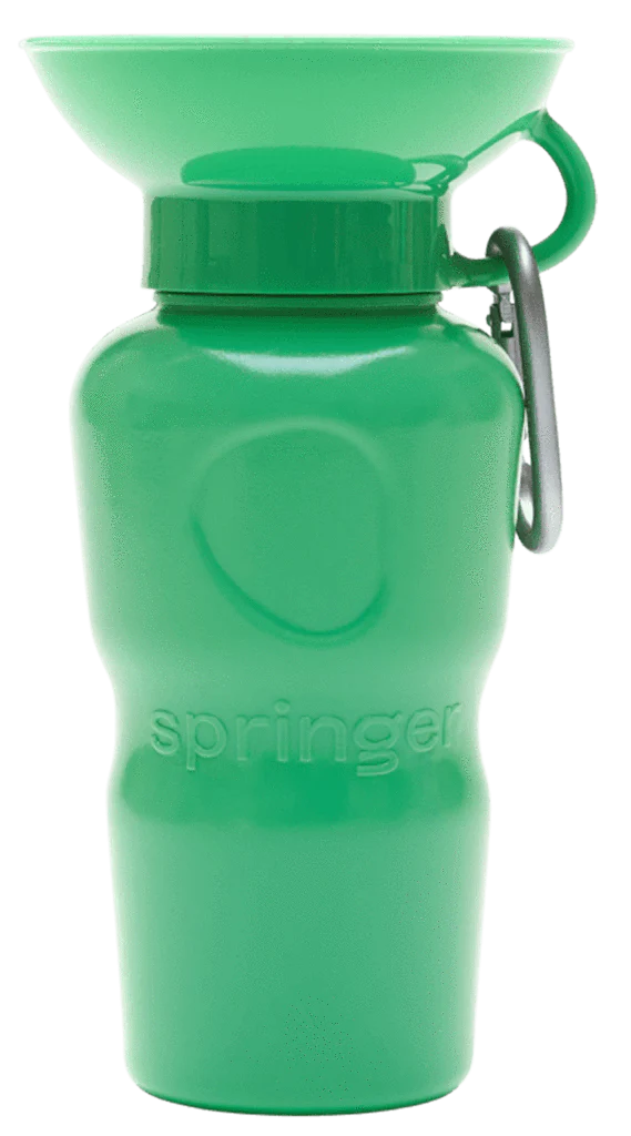 Springer - 15oz Mini water bottle
