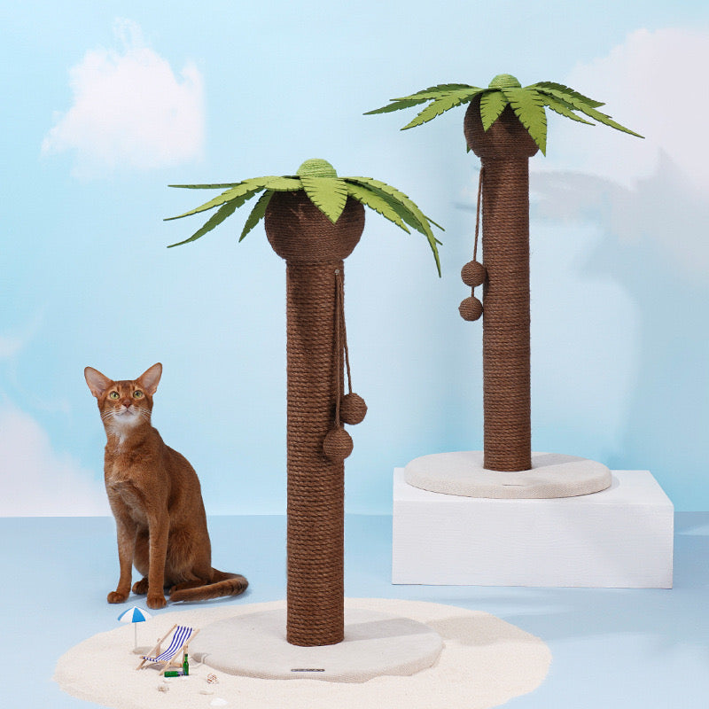 Zeze  - Coconut - Cat scratching Cat tree