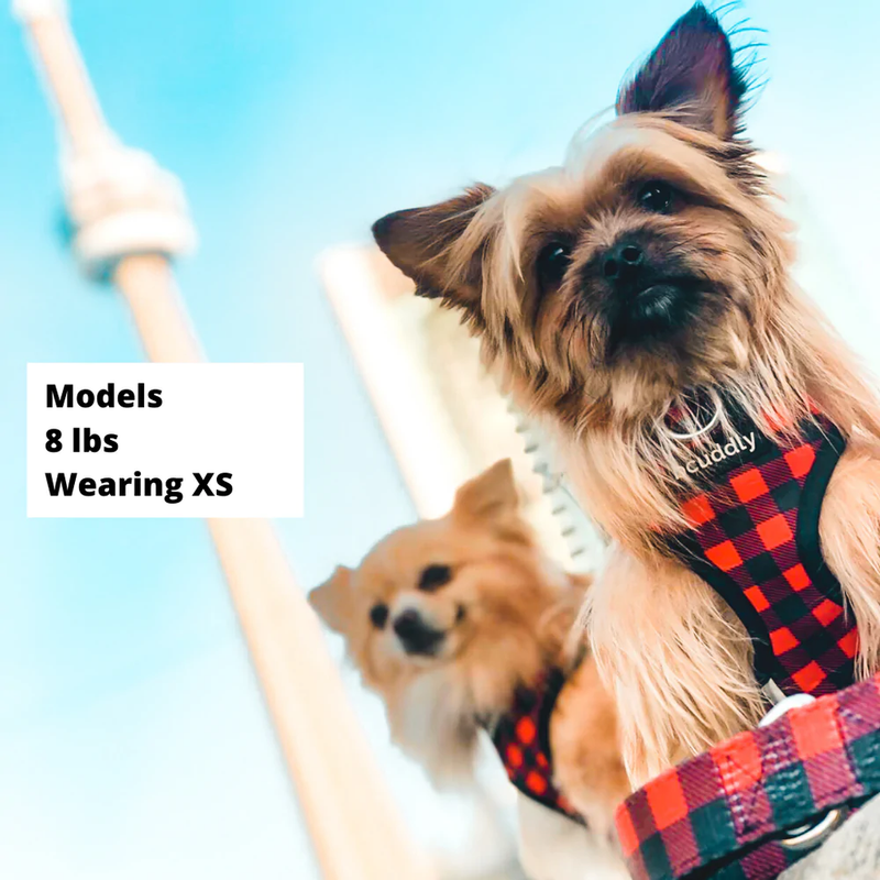 CONTROL DOG HARNESS - RED PLAID CLASSIC