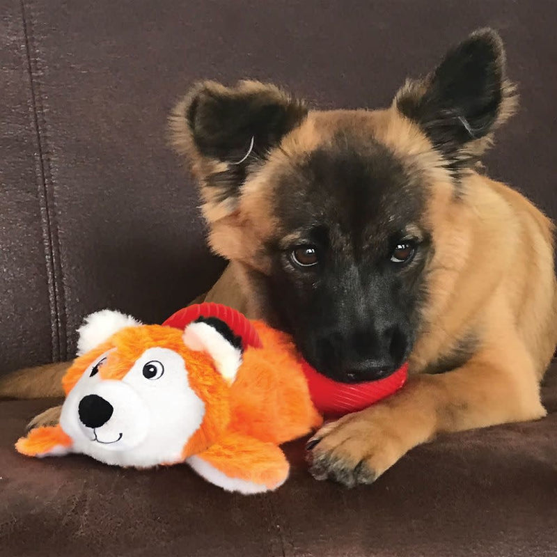 KONG - Cozi Pocketz Fox Medium