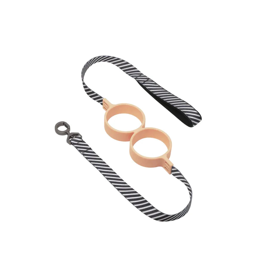 Laisse pour chien absorbant les chocs Pidan