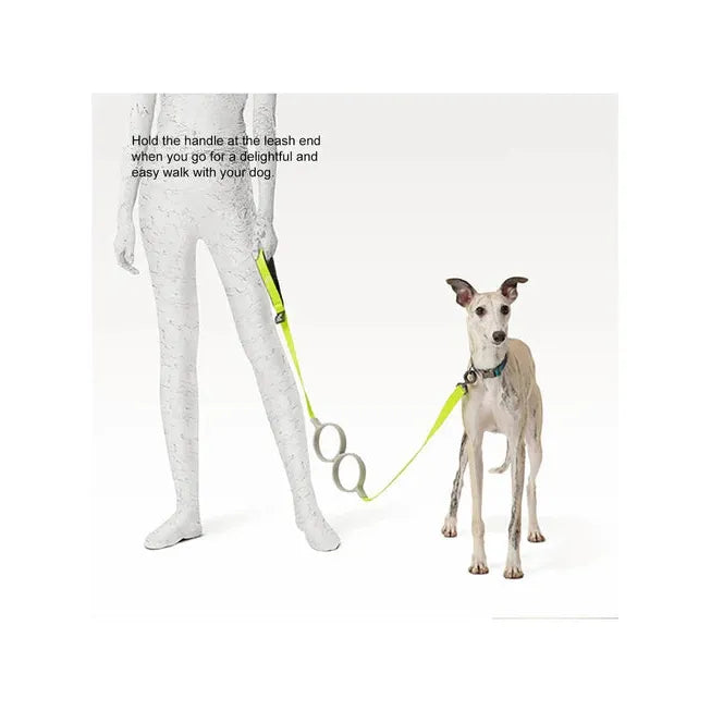 Laisse pour chien absorbant les chocs Pidan