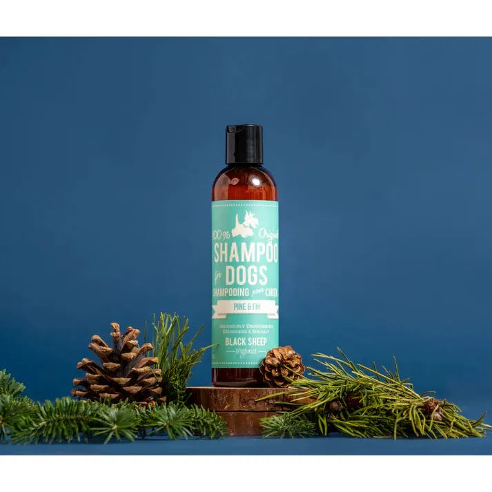 BLACK SHEEP -Pine & Fir Organic Dog Shampoo