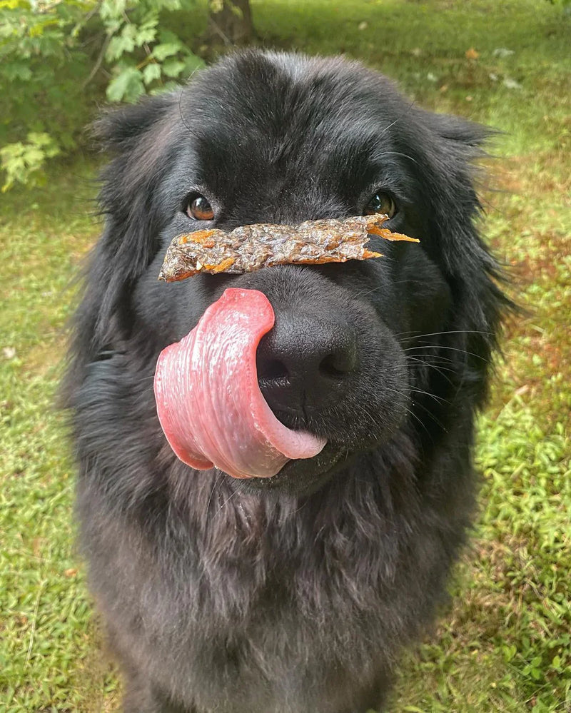 Only One Treats - Wild Pacific Salmon Skin Strips 85g